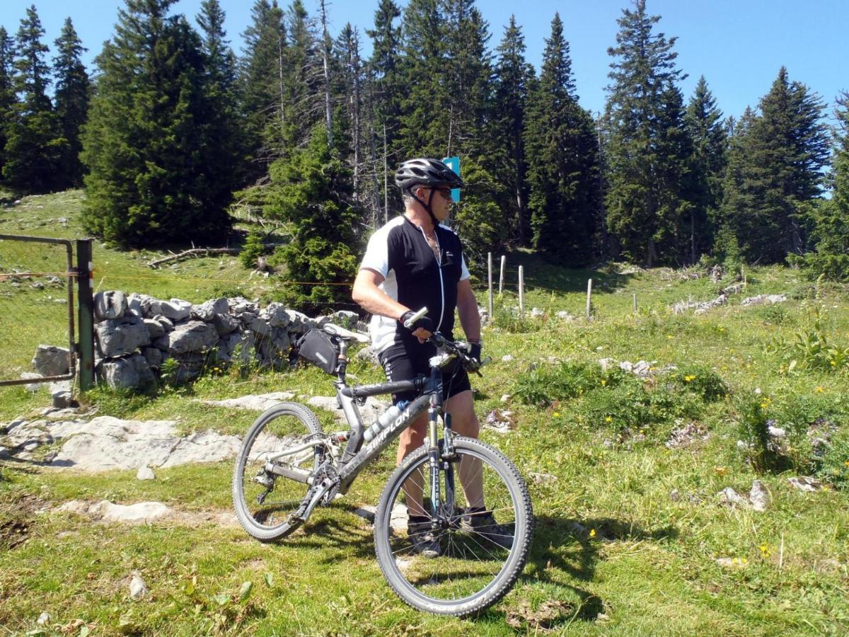אלברשוונדה Alpengasthof Brueggele מראה חיצוני תמונה